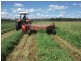 Nanango QLD 4615