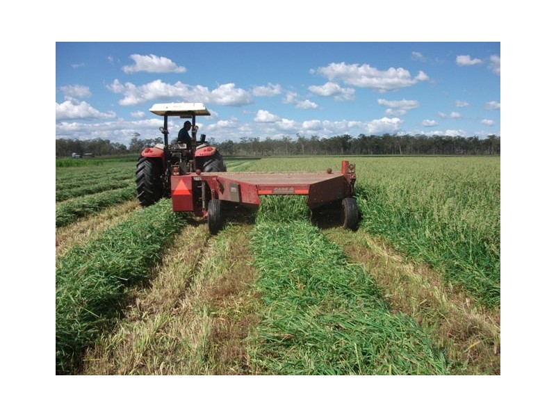 Nanango QLD 4615