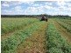 Nanango QLD 4615