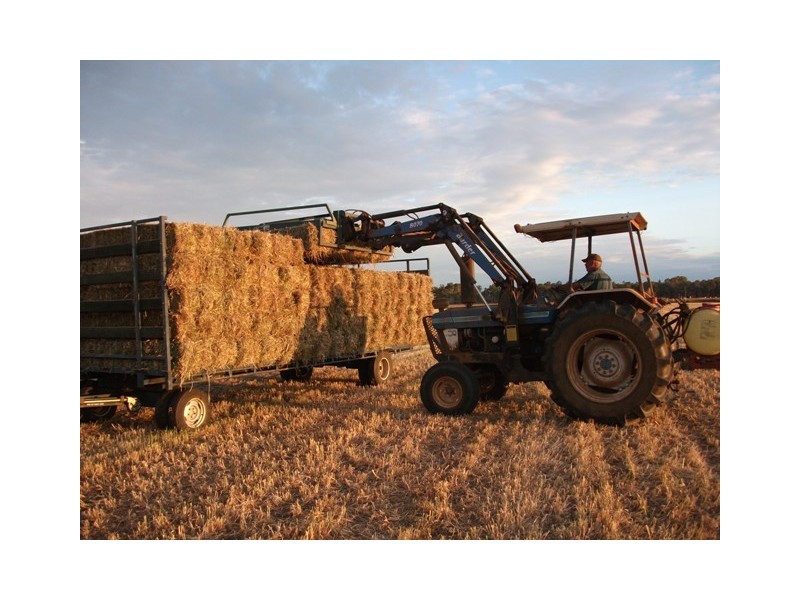Nanango QLD 4615