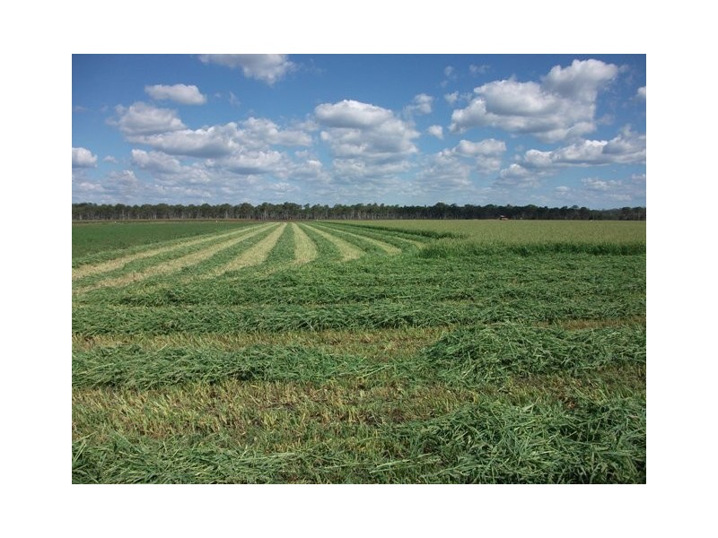 Nanango QLD 4615