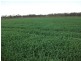 Nanango QLD 4615