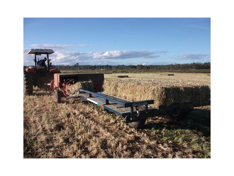 Nanango QLD 4615