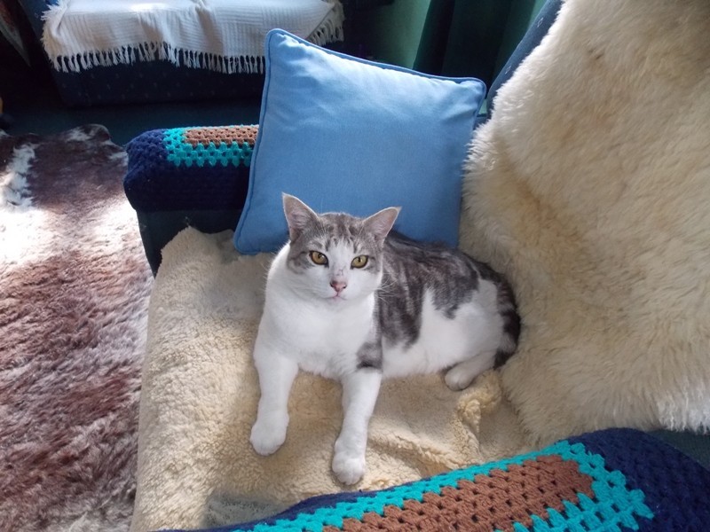 212 Hamilton Road, Nanango QLD 4615