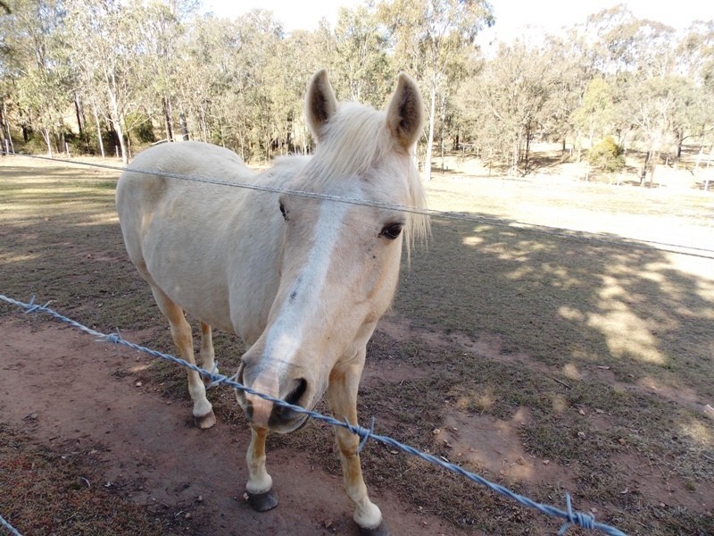 212 Hamilton Road, Nanango QLD 4615
