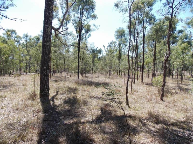 Lot 205 Greenwood Creek Road, Nanango QLD 4615