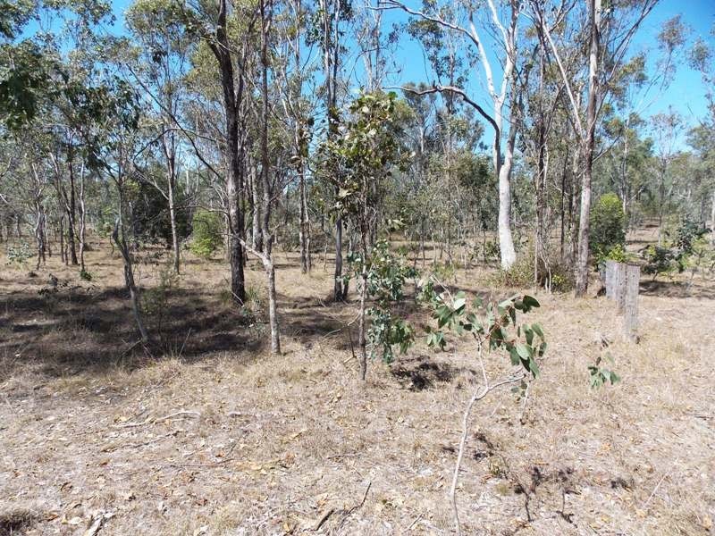 Lot 205 Greenwood Creek Road, Nanango QLD 4615