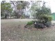 5 Appin Street, Nanango QLD 4615