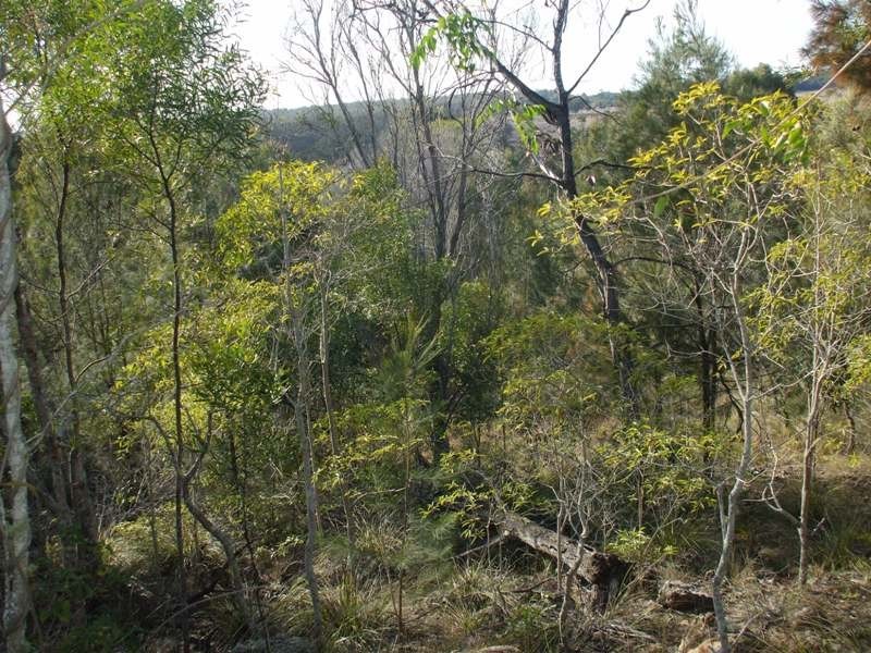 Lot 21 Booral Court, Nanango QLD 4615