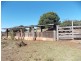 13178 D’Aguilar Highway, Nanango QLD 4615