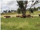 527 Tarong Railway Road, Nanango QLD 4615