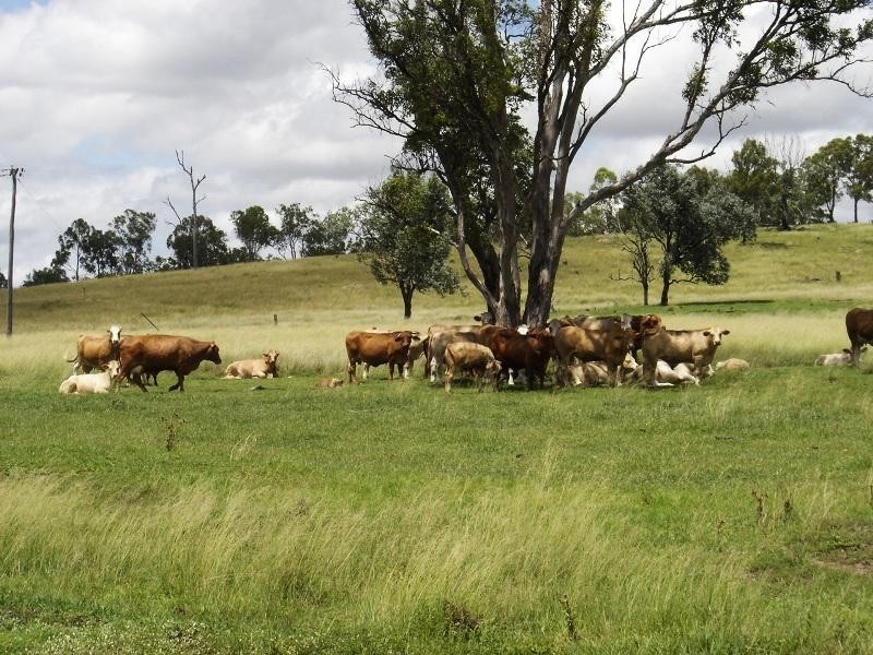 527 Tarong Railway Road, Nanango QLD 4615