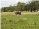527 Tarong Railway Road, Nanango QLD 4615