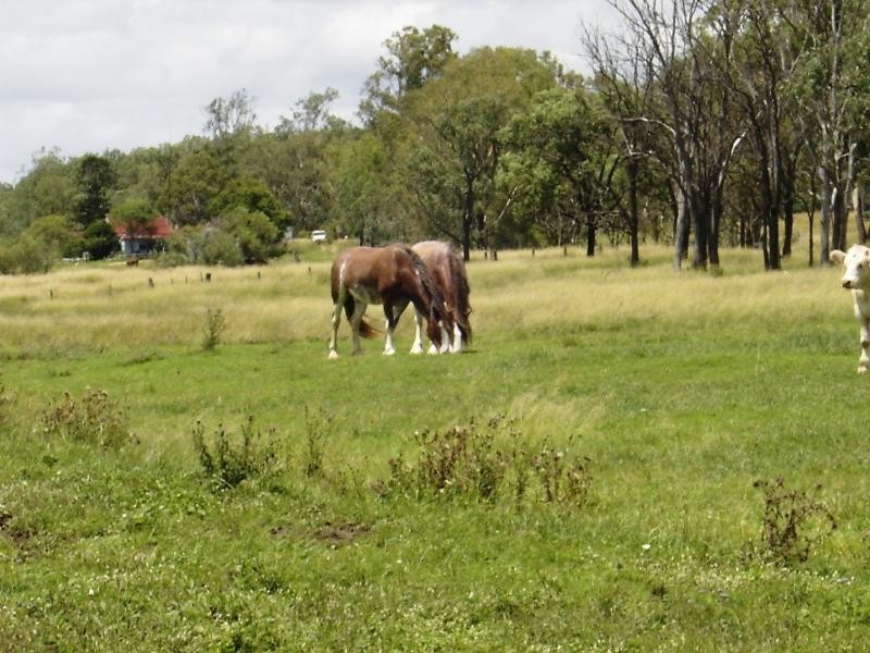 527 Tarong Railway Road, Nanango QLD 4615
