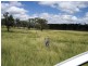 527 Tarong Railway Road, Nanango QLD 4615