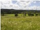 527 Tarong Railway Road, Nanango QLD 4615