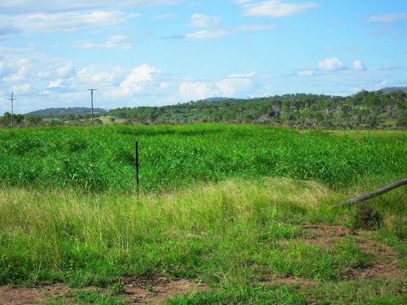 28 Pleystowe Road, Nanango QLD 4615