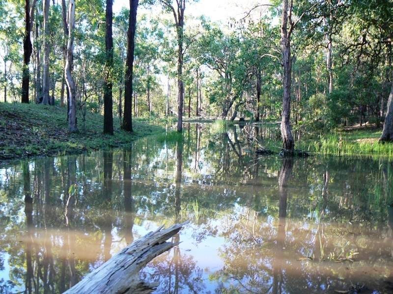 1988 Memerambi-Barkers Creek Road, Wattle Camp QLD 4615