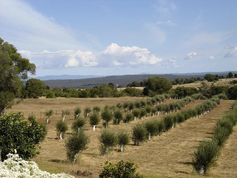 244 Hazeldean Road, South Nanango QLD 4615