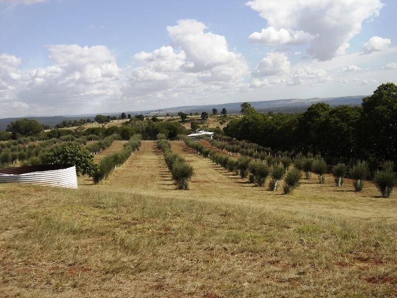 244 Hazeldean Road, South Nanango QLD 4615