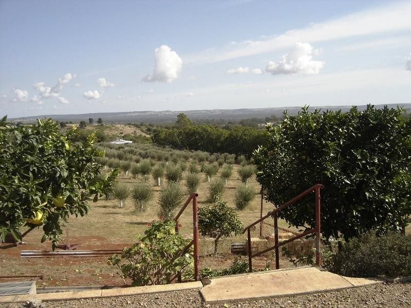 244 Hazeldean Road, South Nanango QLD 4615