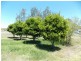 30 Hay Street, Nanango QLD 4615