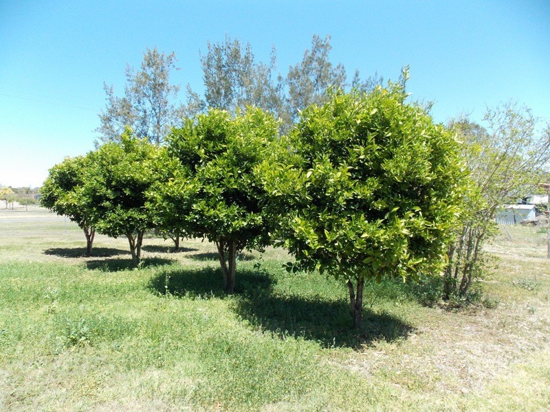 30 Hay Street, Nanango QLD 4615