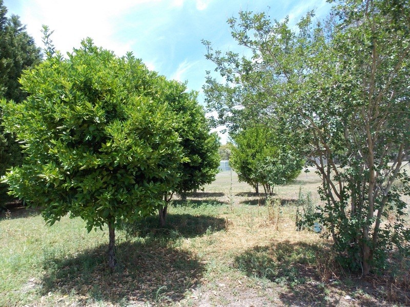 30 Hay Street, Nanango QLD 4615
