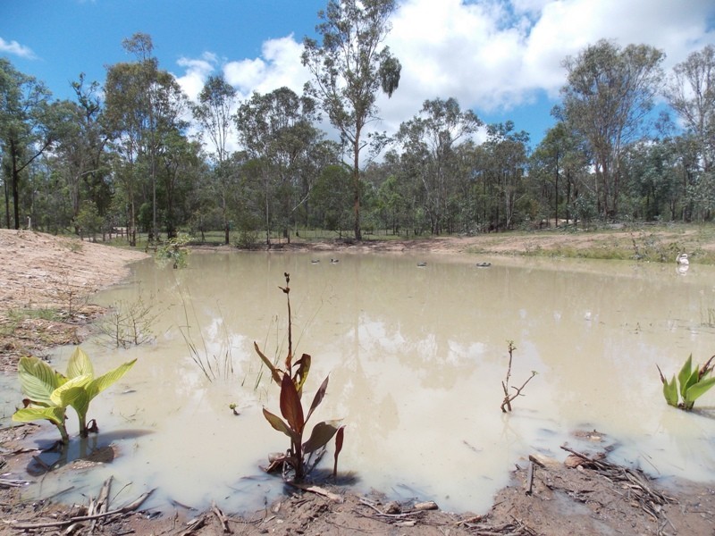 246 Old Esk North Road, Nanango QLD 4615