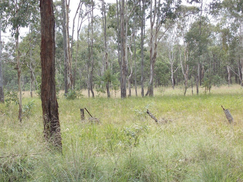 Lot 12 Burnett Street, Nanango QLD 4615