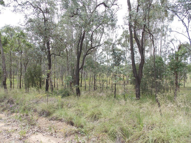 Lot 12 Burnett Street, Nanango QLD 4615