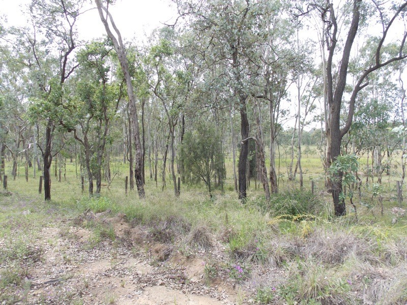 Lot 12 Burnett Street, Nanango QLD 4615