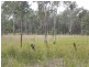 Lot 12 Burnett Street, Nanango QLD 4615