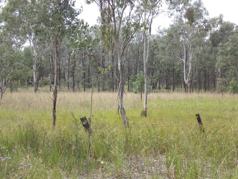 Lot 12 Burnett Street, Nanango QLD 4615