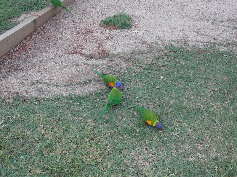 4 Deakin Crescent, Nanango QLD 4615