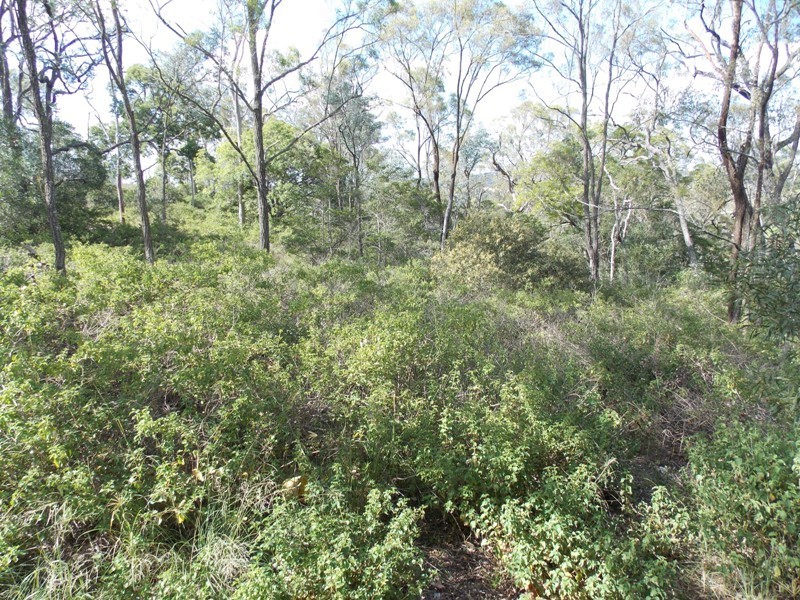 151 Lilian Avenue, Ellesmere QLD 4610