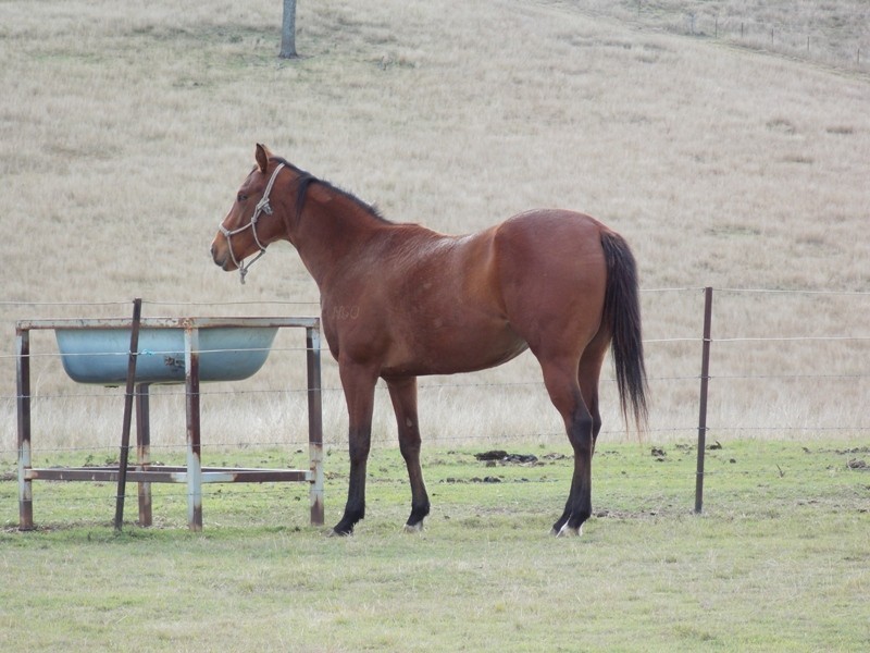 293 Nukku North Road, Blackbutt QLD 4306