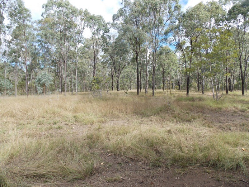 14 McGuire Road, Wattle Camp QLD 4615