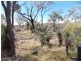 Lot 1 Coomba Waterhole Road, Maidenwell QLD 4615