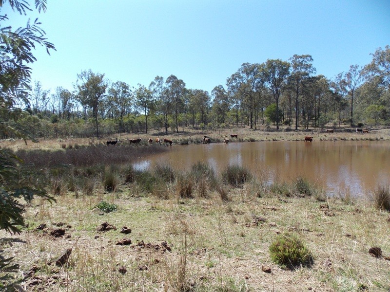 140 Farnows Road, Nanango QLD 4615