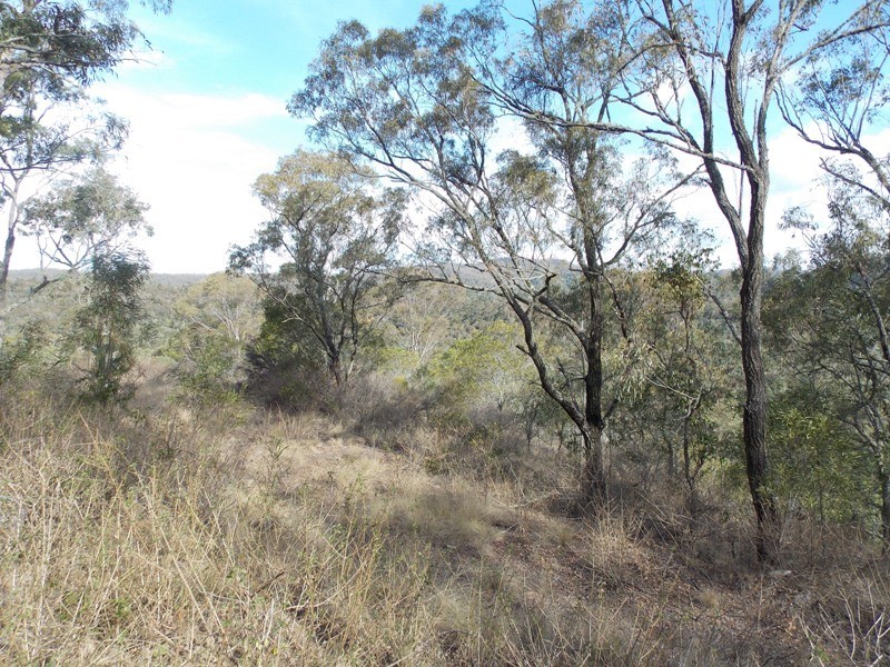 5 Red Cedar Drive, Wengenville QLD 4615