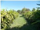 76 Brights Road, Nanango QLD 4615