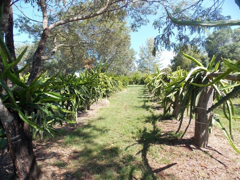76 Brights Road, Nanango QLD 4615
