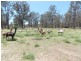 68 Langans Road, Nanango QLD 4615
