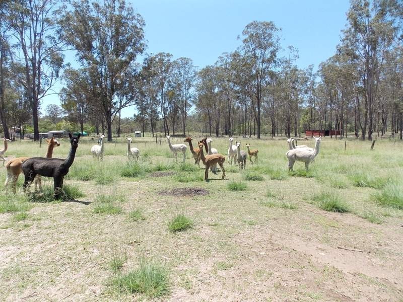 68 Langans Road, Nanango QLD 4615