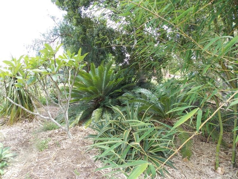 96 Hicken Way, Nanango QLD 4615