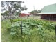 31 Lowry Road, Nanango QLD 4615