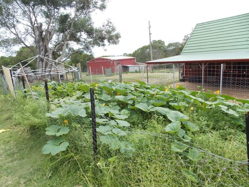 31 Lowry Road, Nanango QLD 4615