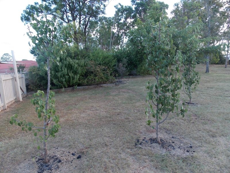 71 Chester Street, Nanango QLD 4615