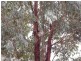 94 Lanigan Road, Nanango QLD 4615